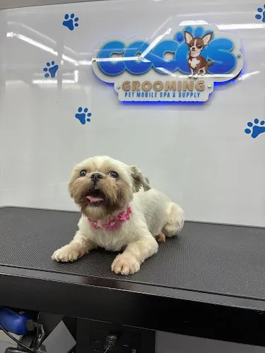 Cocos Grooming - Pet Mobile Spa & Supply - Image 1