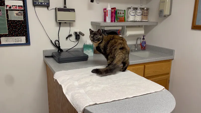 Burnsville Pet Hospital in Burnsville, MN