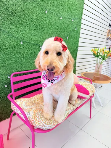 Miami's Pet Grooming (Bird Road Store) - Image 1