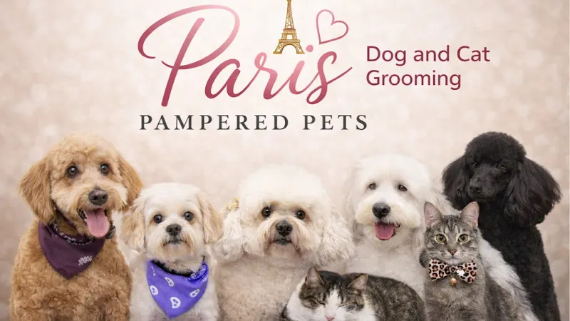 Paris' Pampered Pets in Vista, CA