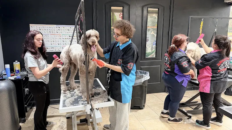 OTCK9 Grooming School - Image 1