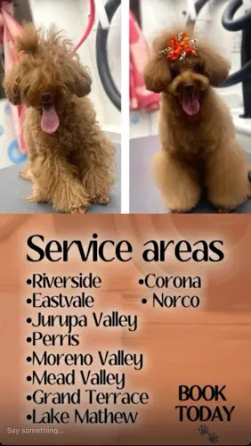 Sassy Paws Mobile Pet Salon - Image 1
