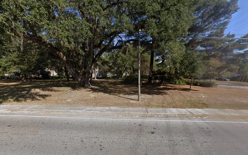 K9 country - Image 1