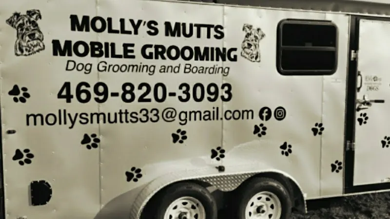 Mollys Mutt's Mobile Dog Grooming and Boarding - Image 1