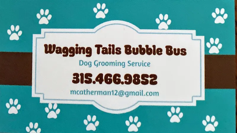 Wagging Tails Bubble Bus - Image 1