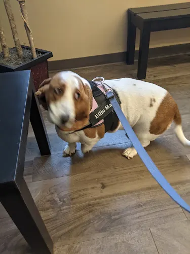 North Memorial Animal Hospital and Paw Spaw - Image 1