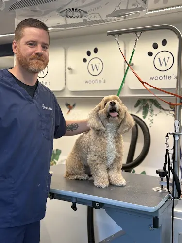 Woofie’s® of St. Petersburg in St. Petersburg, FL