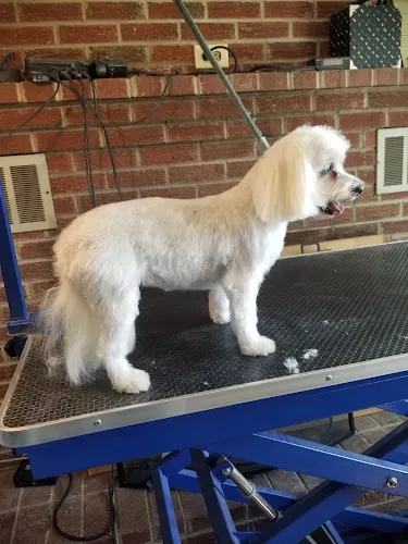 Rosedale Pet Spa in Rustburg, VA