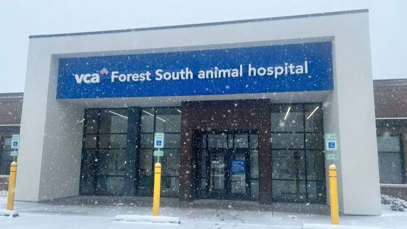 VCA Forest South Animal Hospital - Image 1