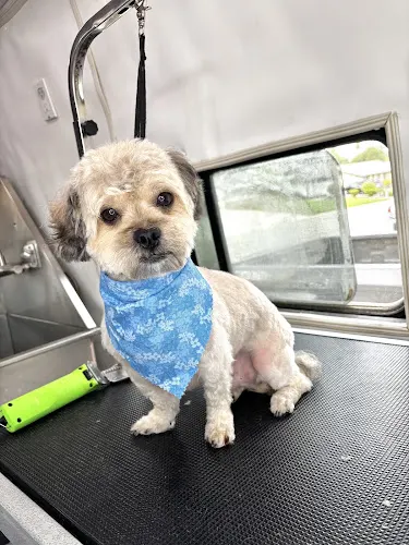 Rosie’s mobile pet grooming - Image 1