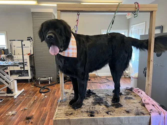 Pampered Paws Pet Salon - Image 1