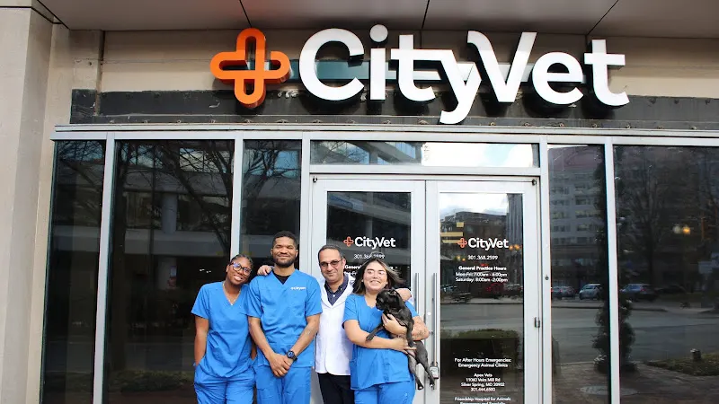 CityVet | Chevy Chase - Image 1