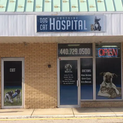 Eastside Dog & Cat Hospital - Image 1