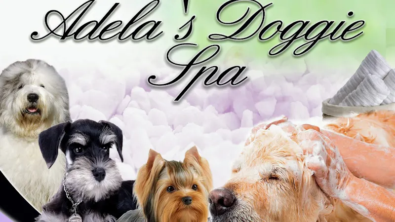 Adela's Doggie Spa in Miami, FL