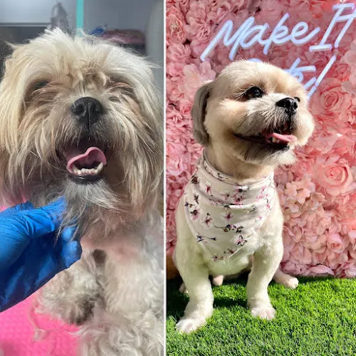 MAKE IT CUTE! - Image 1