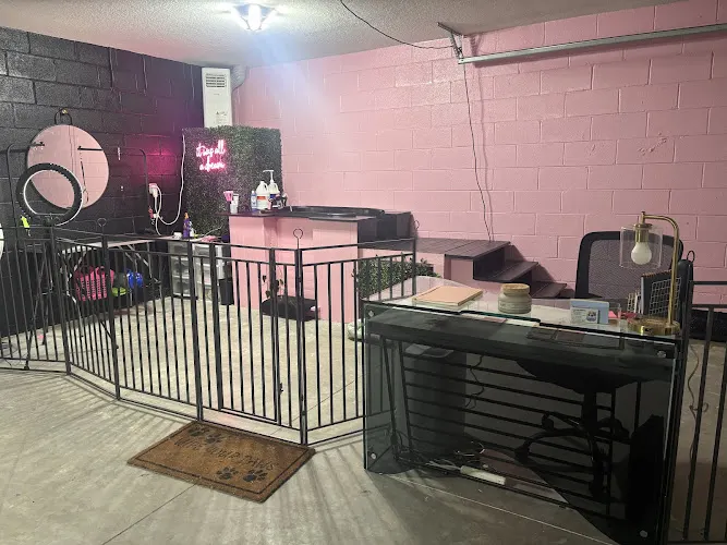UNDERDOG GROOMING in Port St. Lucie, FL