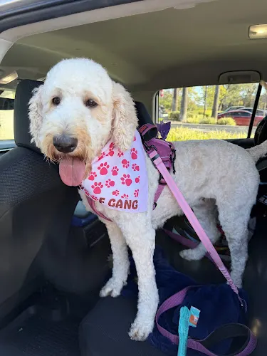Woof Gang Bakery & Grooming Rancho Santa Margarita - Image 1