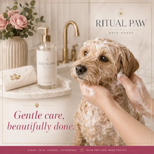 Ritual Paw Bath House - Image 1