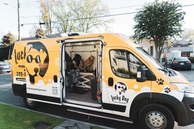 Lucky Dog Mobile Groomers - Ft. Myers, FL - Image 1