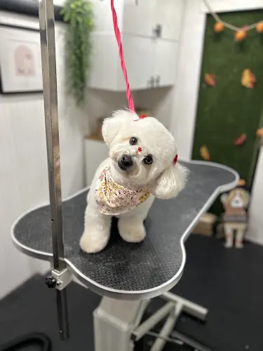 FurrHaven Mobile Pet Grooming - Image 1