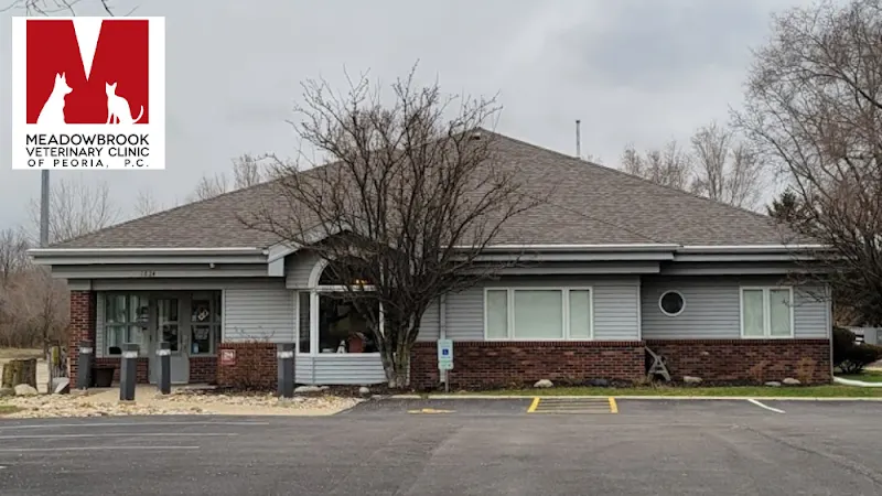 Meadowbrook Veterinary Clinic - South in Peoria, IL