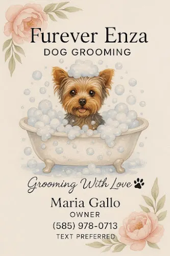 Furever Enza Dog Grooming - Image 1