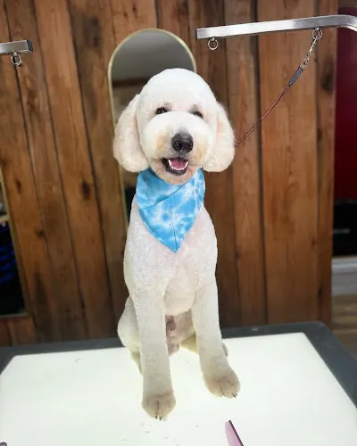 PET LODGE - Image 1