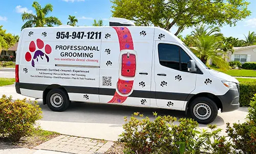 Professional Pet Dog Grooming - Mobile - Image 1