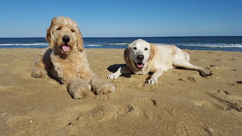 Canine Clips - Image 1