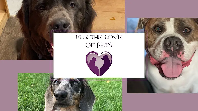 Fur The Love Of Pets - Image 1