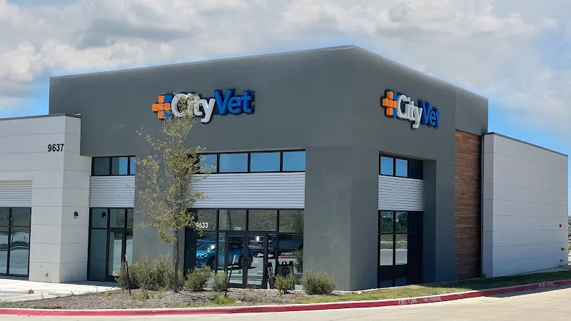 CityVet | Alliance Veterinary Clinic & Urgent Care - Image 1