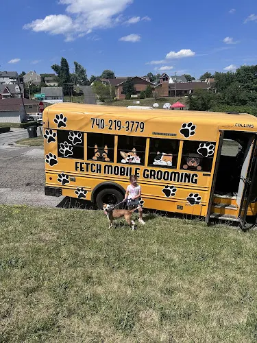 Fetch Pet Grooming, LLC in Steubenville, OH