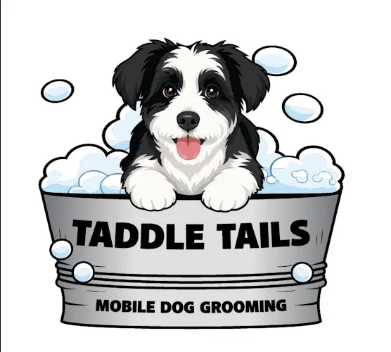 Taddle Tails Mobile Dog Grooming - Image 1