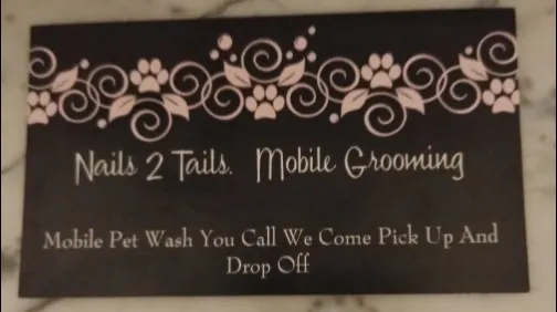 Nails2Tails Mobile Pet Grooming - Image 1