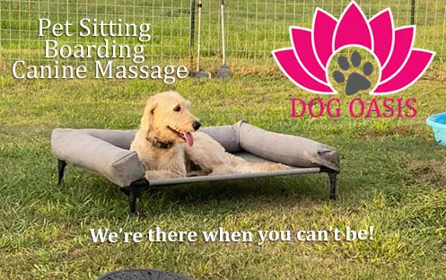 Dog Oasis Boarding, Pet Sitting and Canine Massage - Image 1