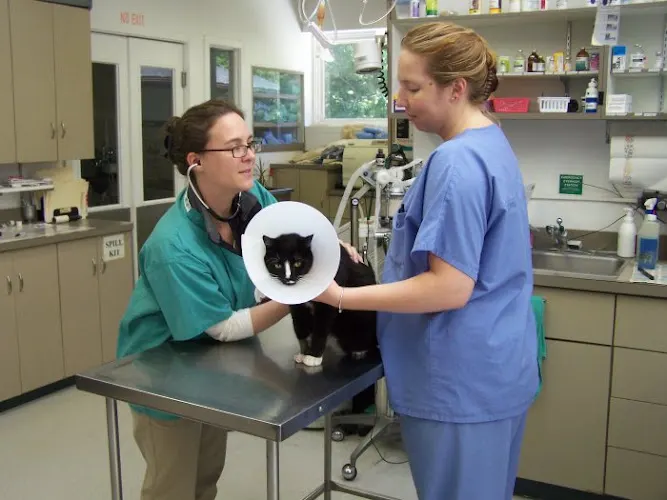 VCA Wickaboag Animal Hospital - Image 1