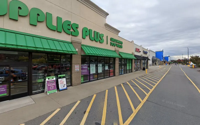 Pet Supplies Plus Wilkes Barre Grooming - Image 1