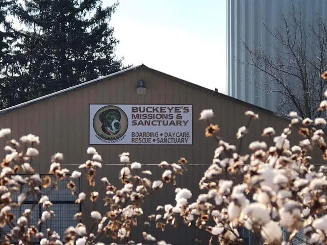 Buckeye's Missions and Sanctuary - Image 1