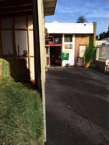 Alley Pets-Feed, Grooming & Pet Supplies - Image 1