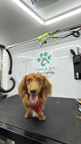 Paws & Art Mobile Pet Grooming - Image 1
