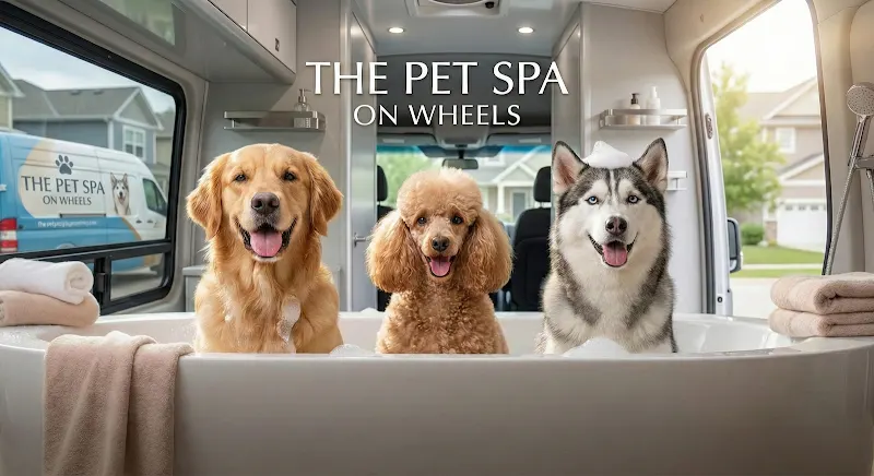The Pet Spa On Wheels - Image 1
