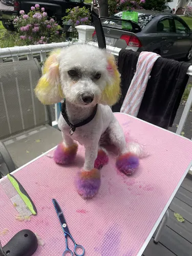 BarkSide Groom - Image 1