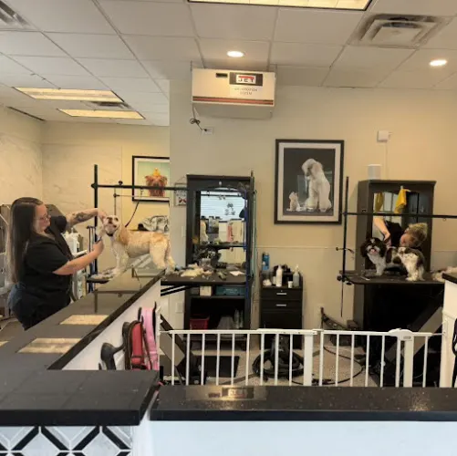 Town & Country Pet Grooming - Nail Trimming, Bath, and Spa Services for Dogs near Me Naples - Image 1