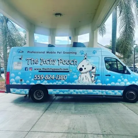 The Itchy Pooch Inc - Image 1
