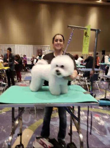Lotus Pet Spa Mobile Grooming - Image 1