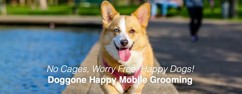 Doggone Happy Mobile Grooming - Image 1