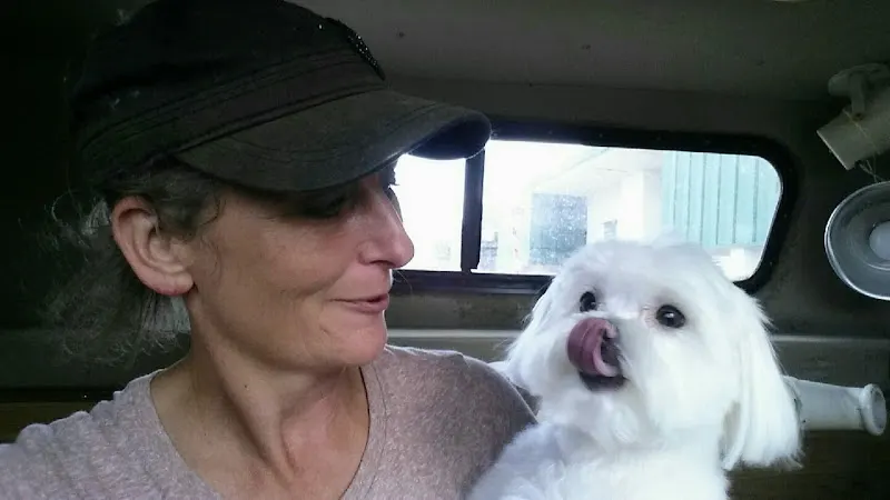 Sunny Dawn Mobile Grooming - Image 1