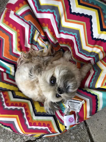 Melody's Mutt Hut - Image 1