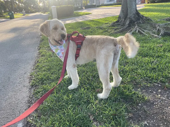 Tail-Waggin Spa - Image 1