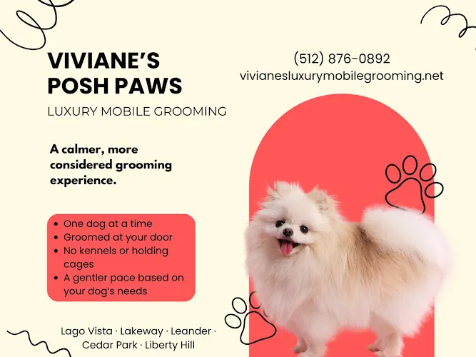 Viviane's Posh Paws Leander Luxury Mobile Grooming - Image 1
